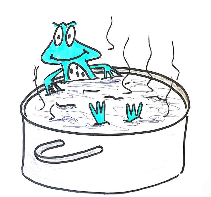 how to boil a frog