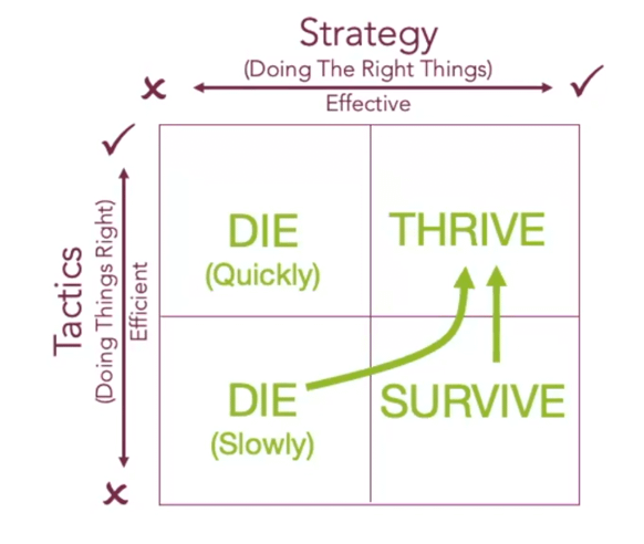Strategy And Tactics Live In The Thrive Box